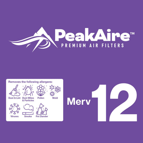 20" x 25" x 2" Merv 12 Air Filter