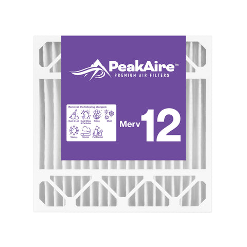 20" x 20" x 5" AB Merv 12 Air Filter